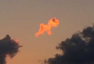 空を歩く犬雲（どアップ）